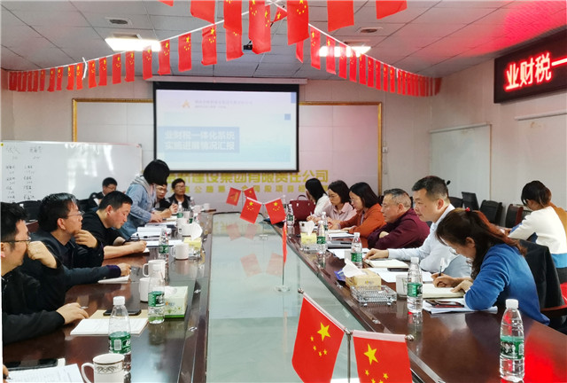 業(yè)財稅一體化系統(tǒng)實施進(jìn)展情況匯報.jpg